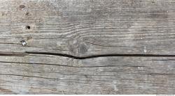 Photo Texture of Old Wood